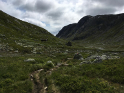 Photo-2017-07-18-13-00-57_3082