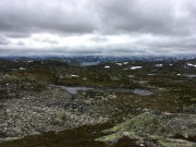 Photo-2017-07-18-14-18-07_3085