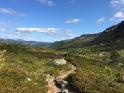 Photo-2017-07-18-17-21-12_3091