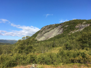 Photo-2017-07-18-17-58-15_3093