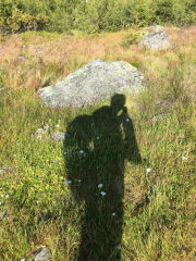 Photo-2017-07-18-17-58-25_3095