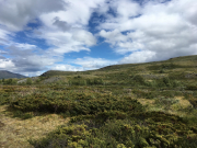 Photo-2017-07-31-15-01-21_3362