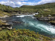 Photo-2017-07-31-15-06-41_3364