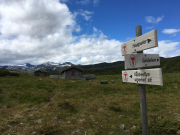 Photo-2017-08-01-13-32-48_3391