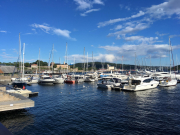 Photo-2017-08-02-17-57-08_3412