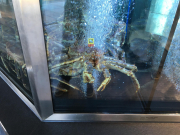 Photo-2017-08-02-18-11-56_3416