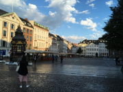 Photo-2017-08-03-19-57-34_3447