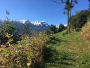 Photo-2018-08-27-09-58-36_6893