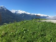 Photo-2018-08-27-10-04-52_6896