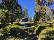 Photo-2018-08-27-11-20-28_6904