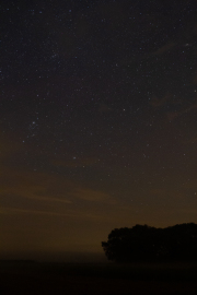2019_08_02_Westhavelland_00044