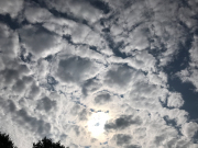 2019_08_02_Westhavelland_00056