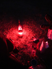 2019_08_02_Westhavelland_00089