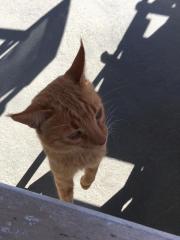 2019_10_26_Kalymnos_2019_00025