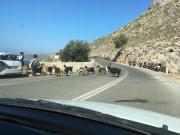 2019_10_26_Kalymnos_2019_00062