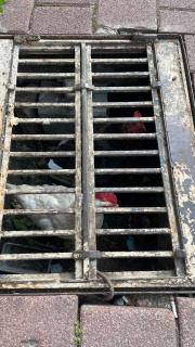 2022_05_25_Istanbul_mit_Conny_00126