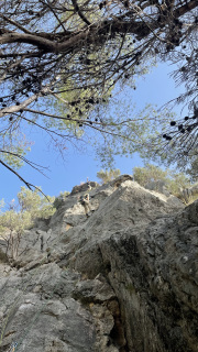 IMG_1952