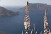 2023_10_08_Kalymnos_00182