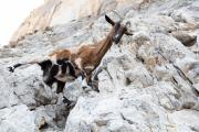 2023_10_08_Kalymnos_00310