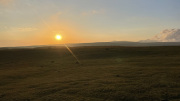 IMG_3896