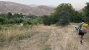 IMG_3971