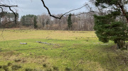 IMG_3694-1