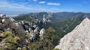 IMG_2014