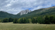 IMG_2034