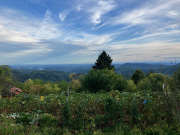 IMG_2444