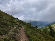 IMG_4779