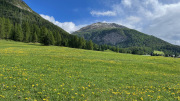 IMG_4840