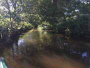 Photo-2018-05-20-16-33-43_5804